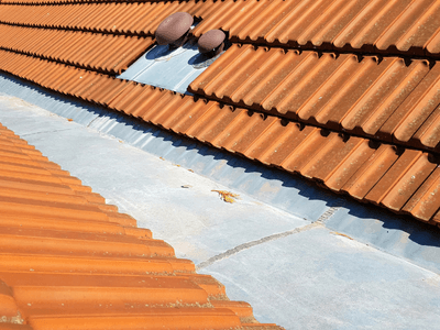 About Leaking Skylight Repair Pros Bassett, AR